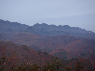 PB050084_R