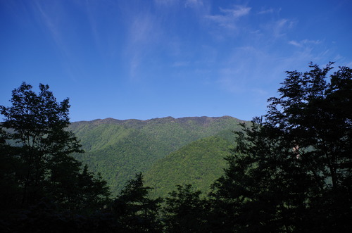 IMGP3416