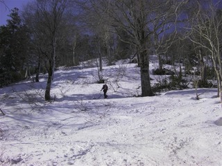 SANY0225_R