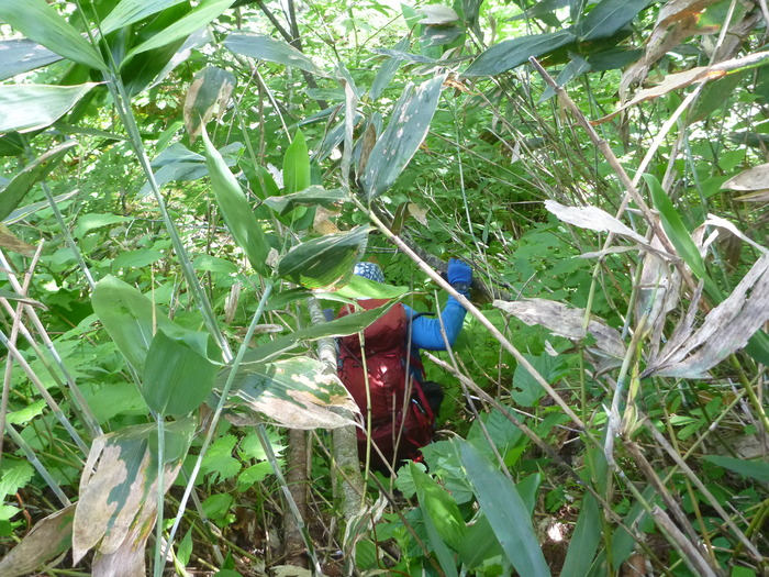 P1060487