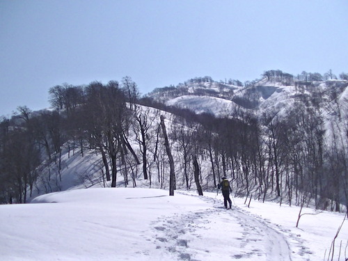 PIC_0001