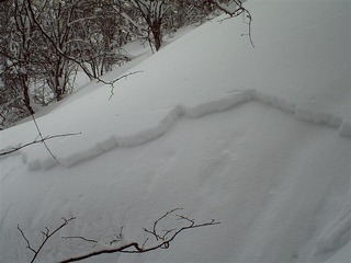 110212_043656_import_R
