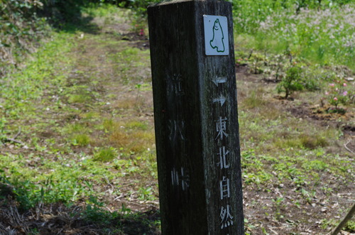 IMGP0719