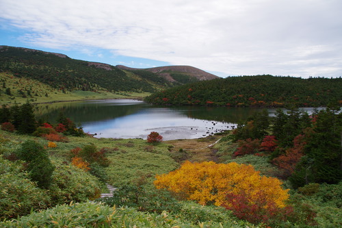 IMGP4004