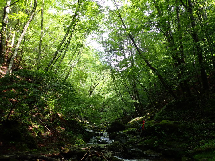 P6080014