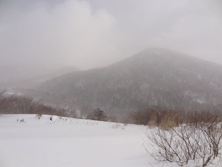 DSC01365_R