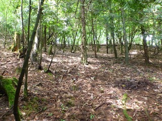 P1000485_R