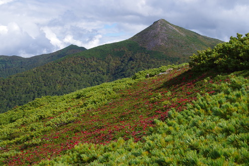 IMGP3747