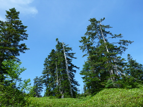 P1000189