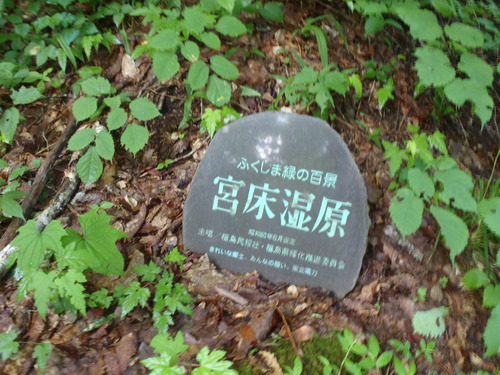 P6300003