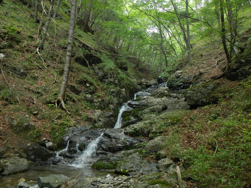 DSCN4267