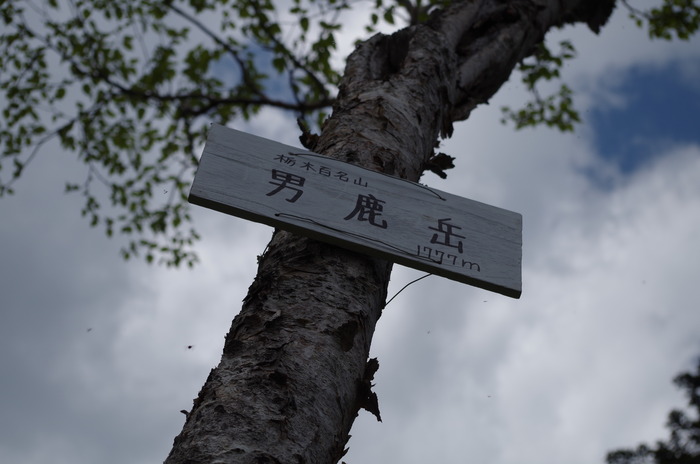 IMGP3442