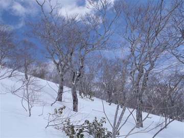 P4010033_R