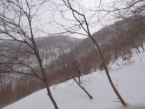 P2030142