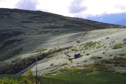 IMGP3749