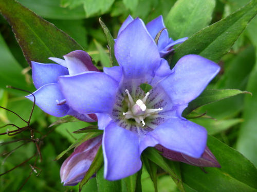 P1010767