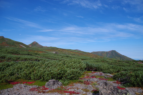 IMGP3782