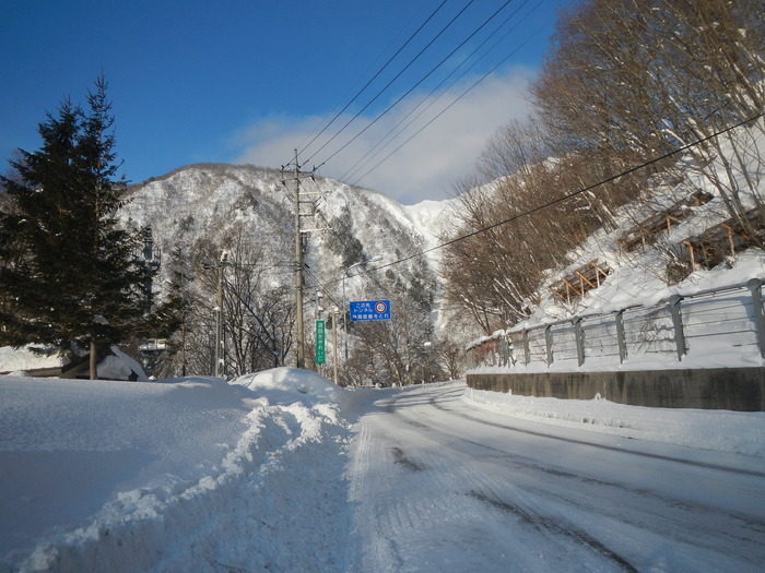 DSCN4208