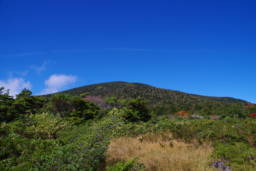 IMGP4026