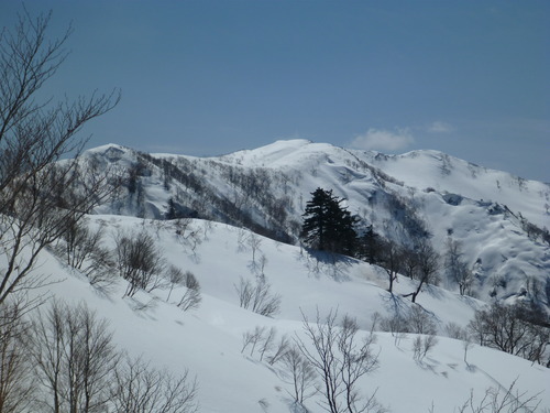 P1010010