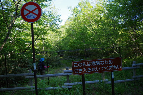 IMGP3417