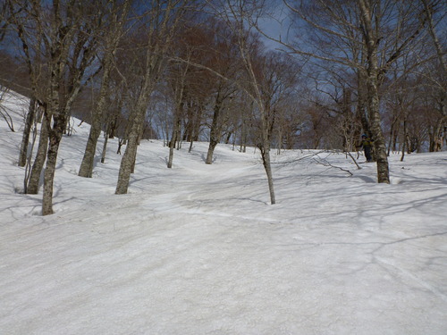 P1030548