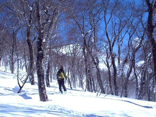 110217_023330_import_R