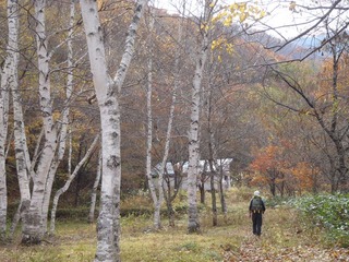 PB050100_R