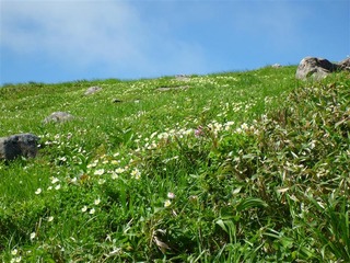 P1000463_R