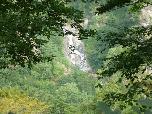P1040982