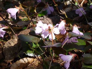 P1010738_R