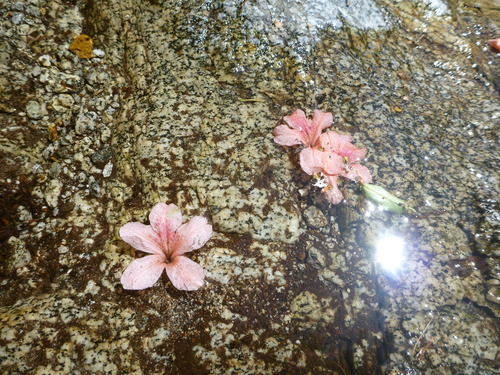 P1020703