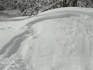 110213_084508_import_R
