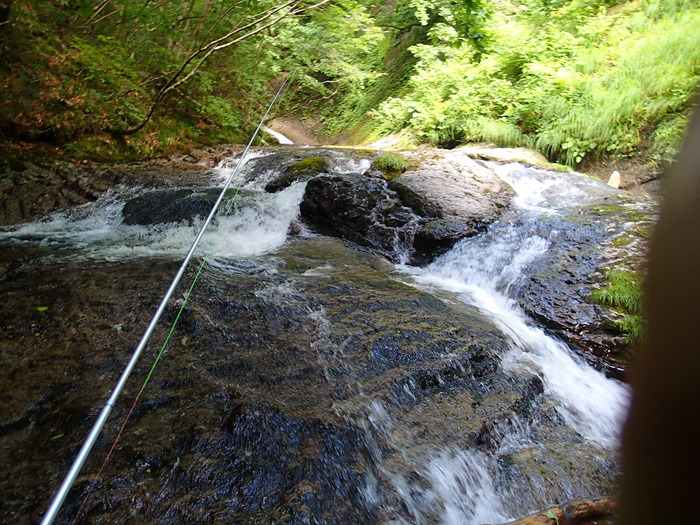 P7273352