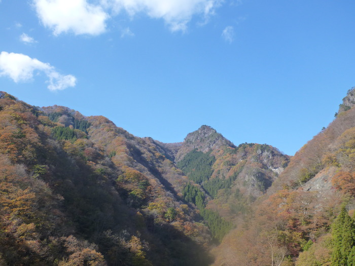 P1050319