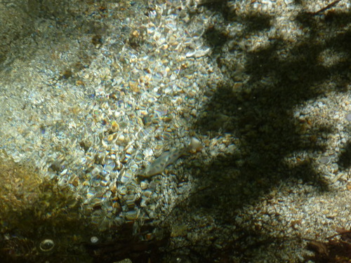 P1020708