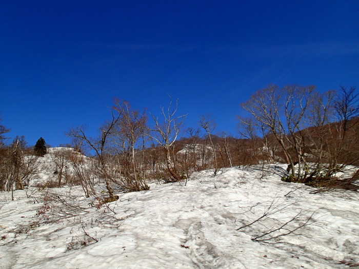 P4202809