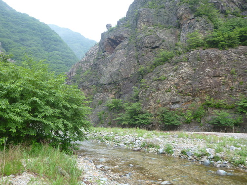 P1040354
