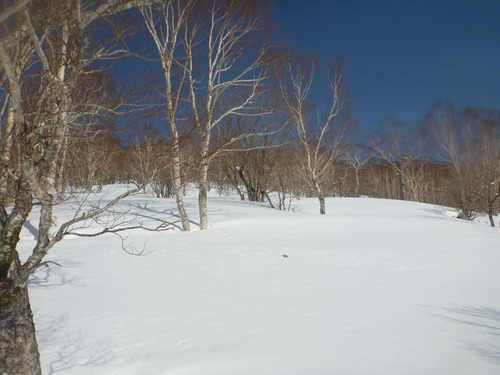 P1070357