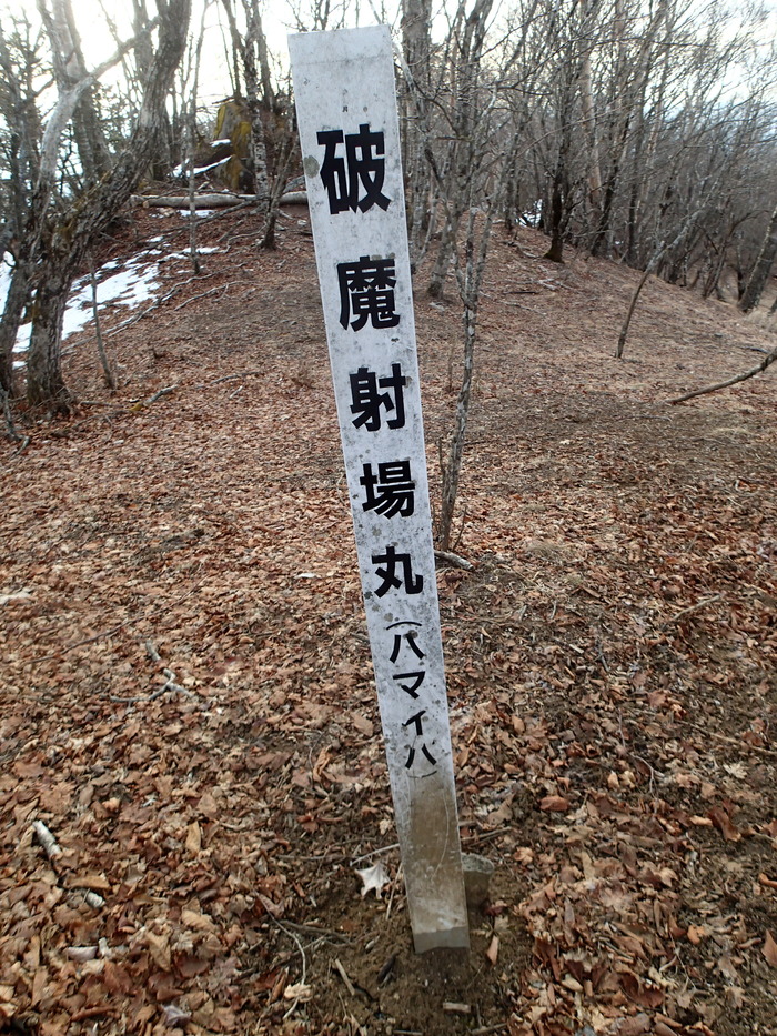 P1123706