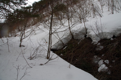IMGP5584