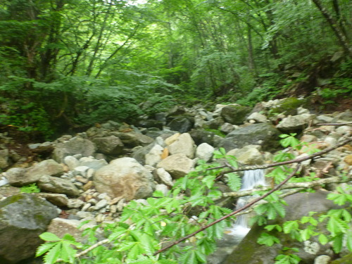 P1070902