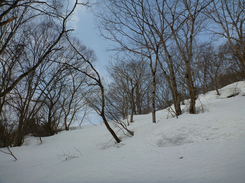 P1030339