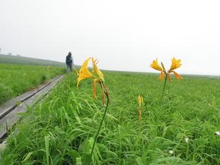 P7190074