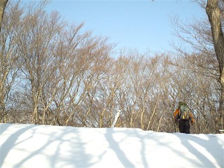 110205_071322_import_R