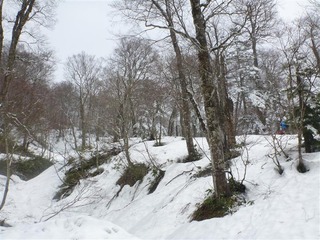 P1010810_R