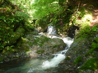 P1020033