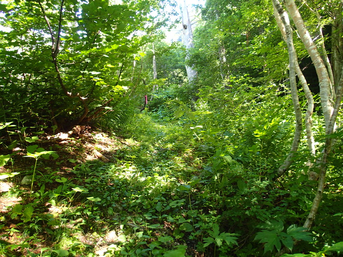 P8103411