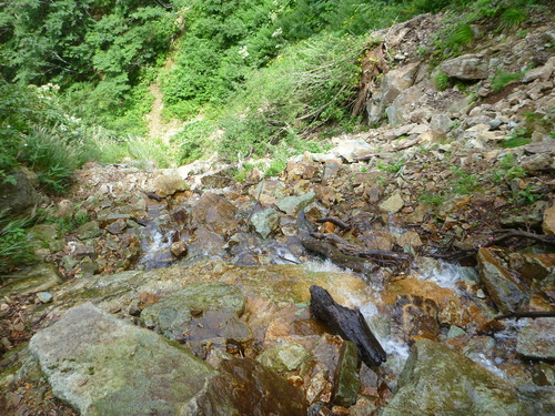 P1030320