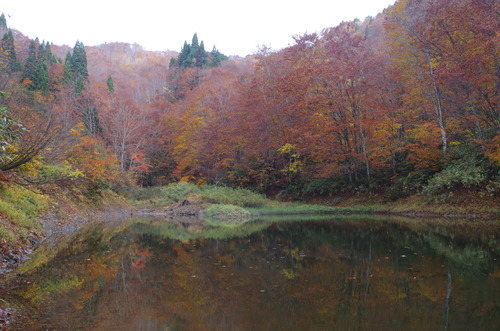 IMGP1578